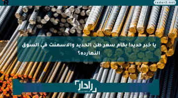 يا خبر حديد! بكام سعر طن الحديد والأسمنت في السوق النهارده؟